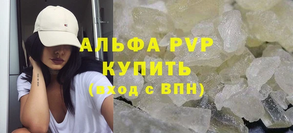 индика Алексин