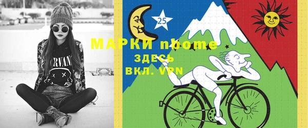 индика Алексин