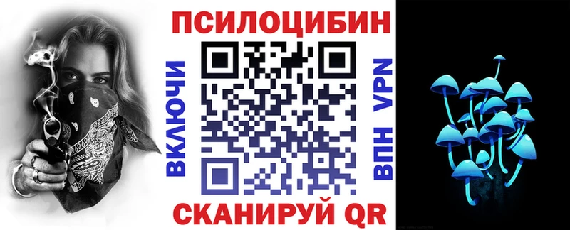 Псилоцибиновые грибы Psilocybe  Яхрома 